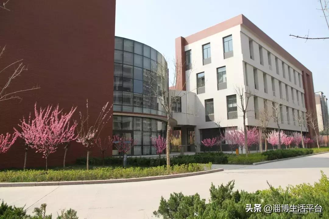 淄博实验中学学区房多少钱,淄博九中学区房有哪些小区