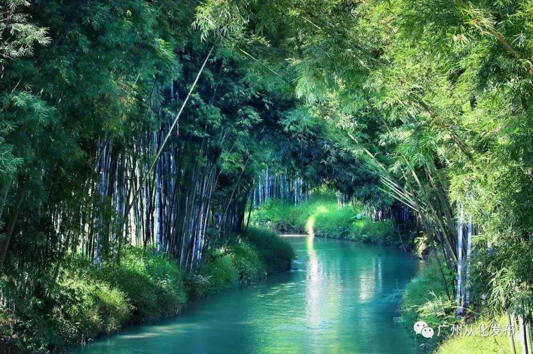 从化旅游攻略五天自由行,五一从化亲子游十大必去景点