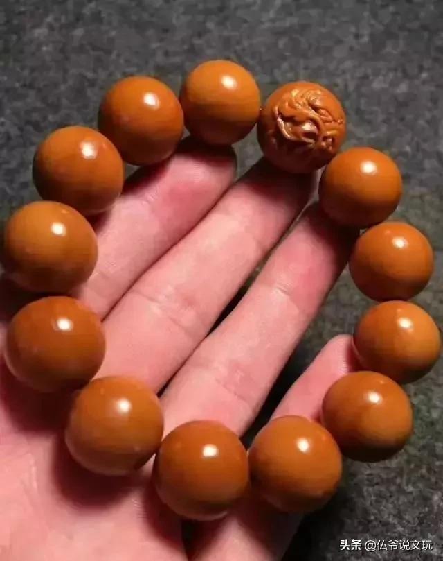 星月金刚凤眼的区别,星月菩提凤眼菩提金刚菩提怎么选