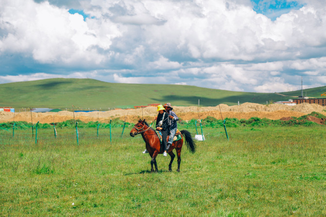 若尔盖5日游推荐,成都九寨沟黄龙若尔盖深度游