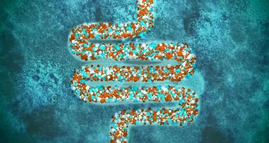 肠道菌群失调会得癌症吗,胃肠道菌群失调什么症状