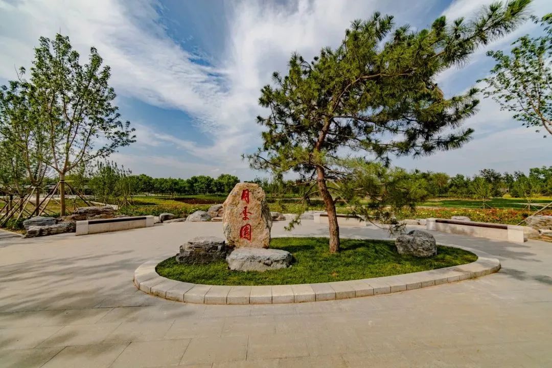 北京五环最美花海,附近免费景点踏青网红打卡地