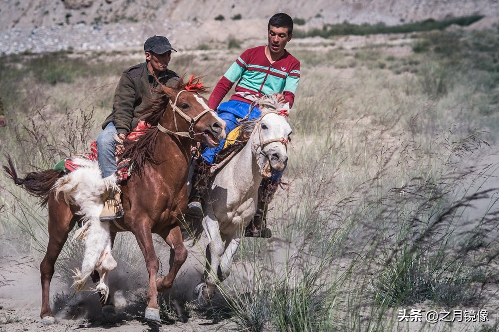 铁血雄鹰全剧,铁血雄鹰全文阅读