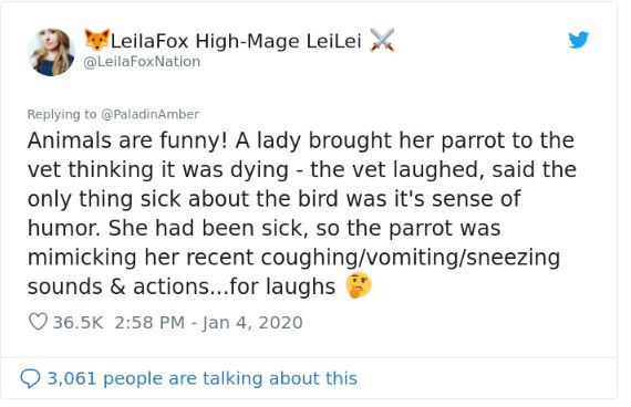 猫突然就不吃不喝死了,猫咪不吃不喝一直睡觉最后死了