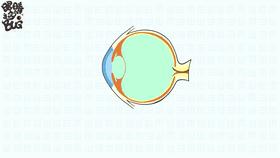 一戴眼镜就变丑的方法,一戴上眼镜就变蠢了