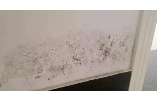 住在一楼屋里潮湿,住在一楼的家里太潮湿有霉味
