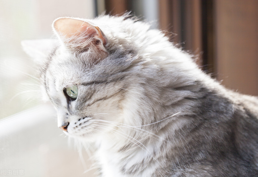浅谈小学数学课堂有效问题的论文,浅谈小学教育论文范文