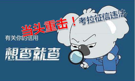 考拉征信被查什么原因,考拉征信被查真相