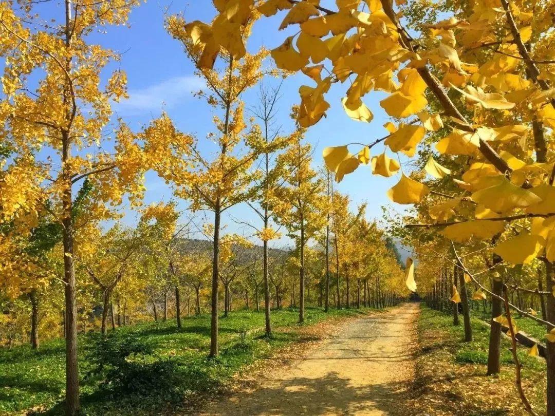 带你了解梅州,梅州介绍宣传片