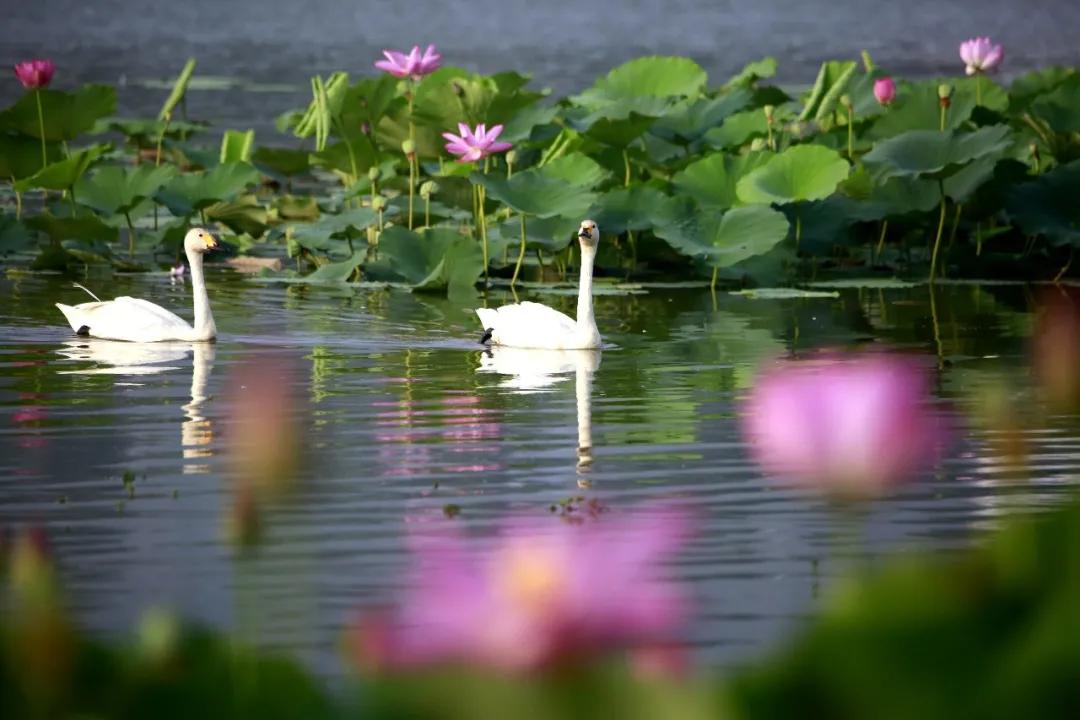 看图写话一二年级范文和图,小学一二看图写话专项练习及范文