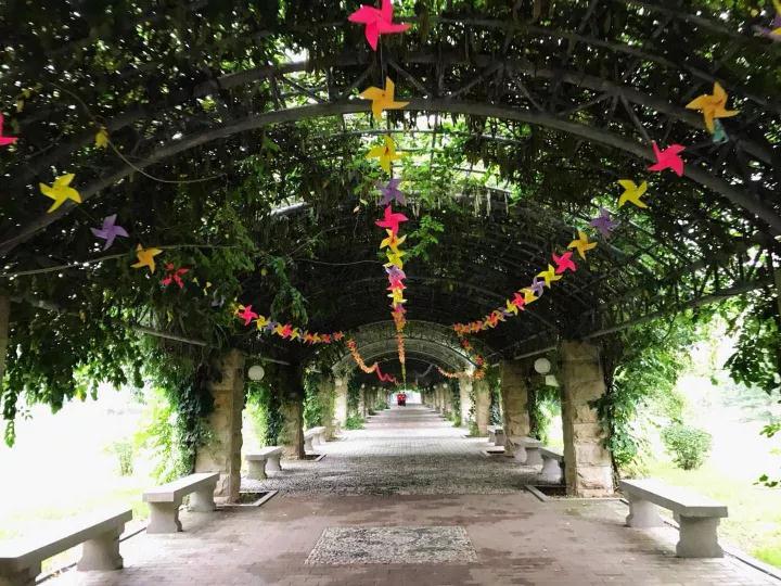 校园表白最佳方式,校园女生怎么表白立马成功