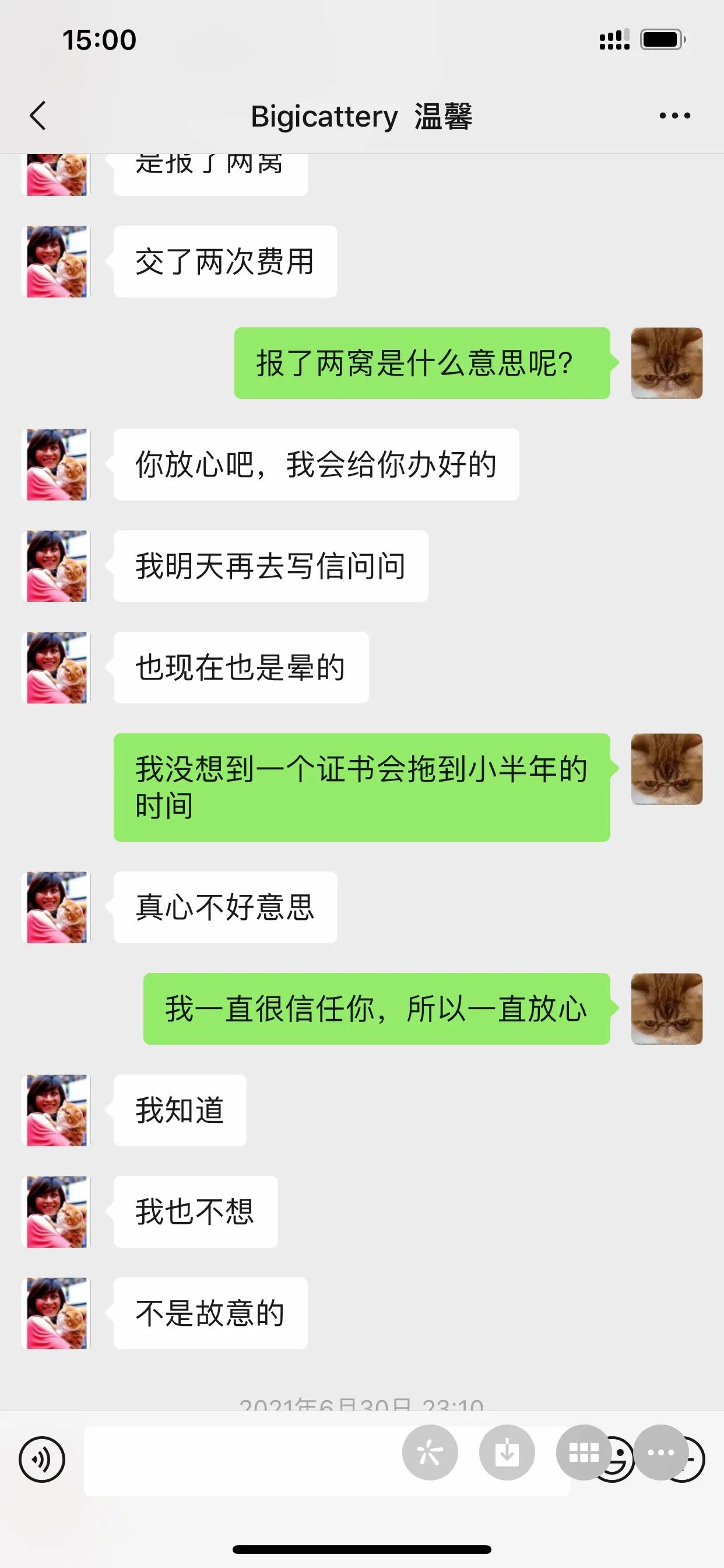 广州猫舍买英短猫,必读猫小屋家购猫流程