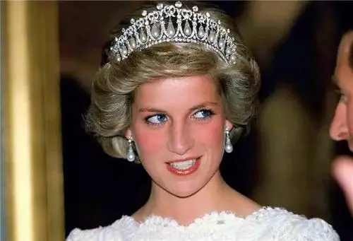 戴安娜离世最新消息,戴安娜一生的经历