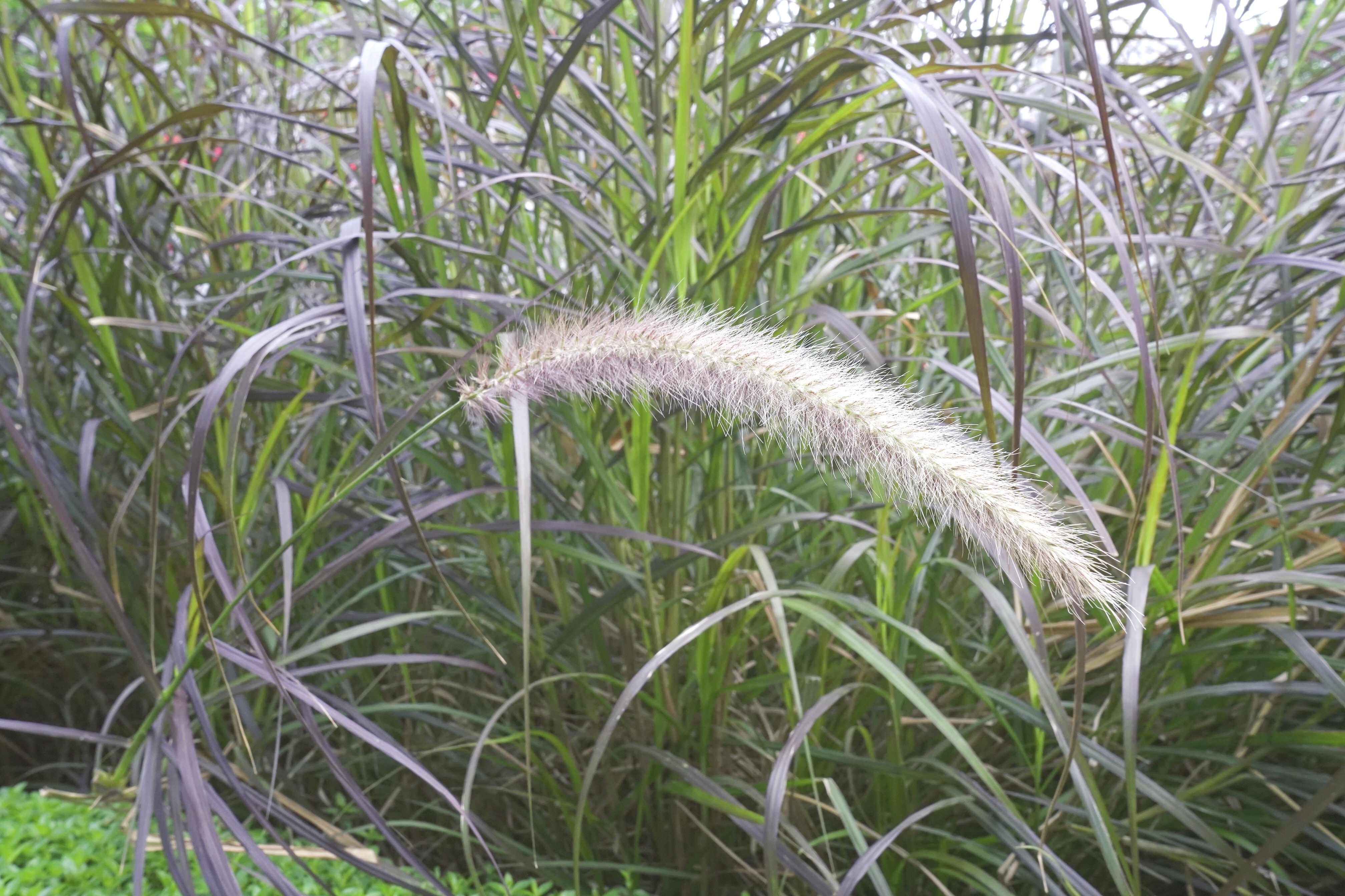 带你认识各种镜头,光圈跟景深通光量的关系