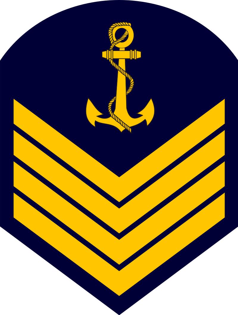 巴西军衔图片,各国军衔标识俄罗斯