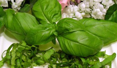 一道美味佳肴做法,米斯特海鲜芝士焗饭