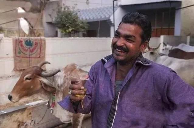 牛成印度圣物受膜拜？Steam海盗游戏《ATLAS》玩家开设宰牛场