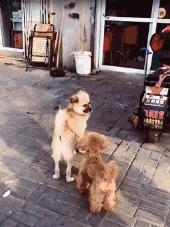 给你10块，帮我开下来我给你100块，告诉我怎么开上去的