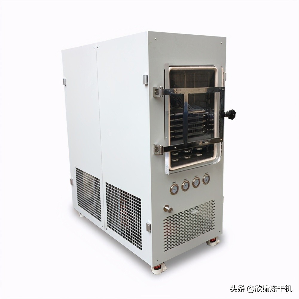 关于一台冷冻干燥机的自我阐述,小型真空冷冻干燥机一台用多久