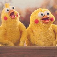 桂林优惠直播,广西桂林晚报直播