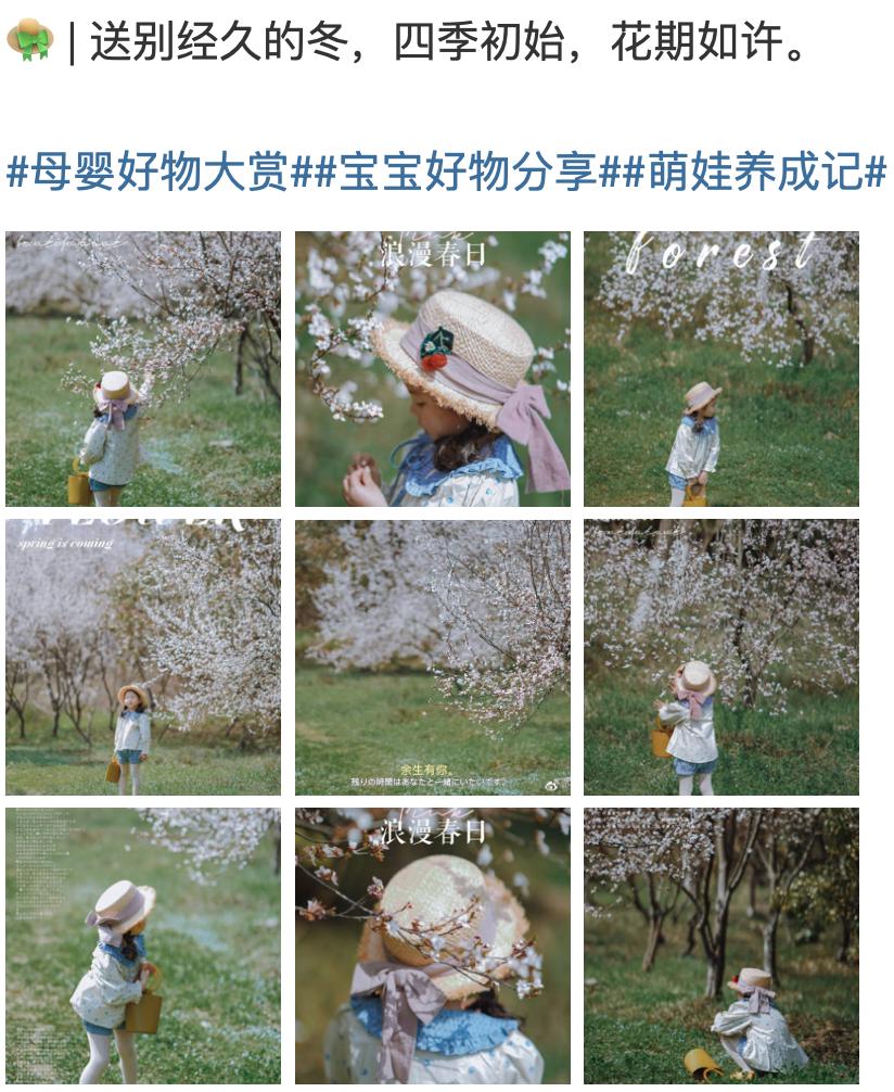 主播薇娅2019年收入,主播薇娅2019收入