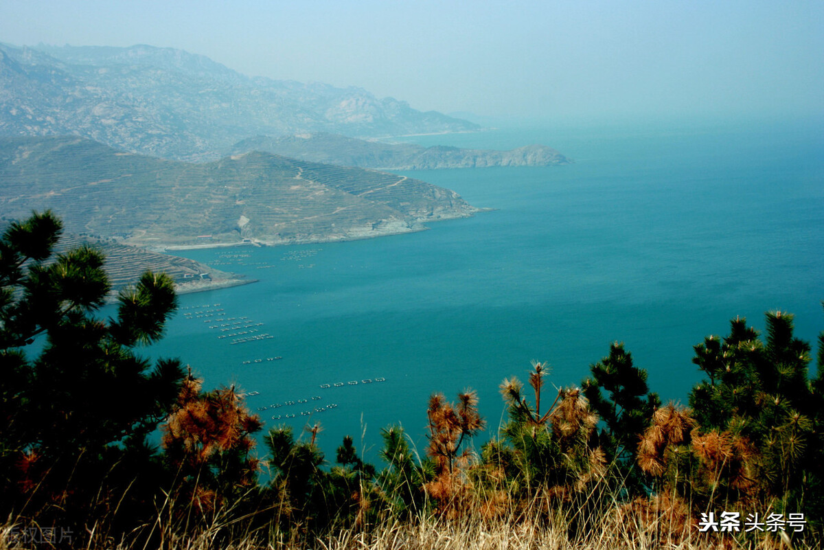 测试经理如何管理团队,如何管理好自己的团队书籍