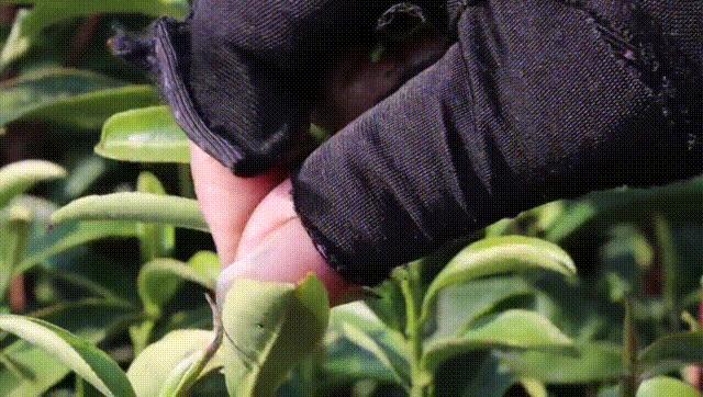 无锡上央视的景点,无锡上央视新闻