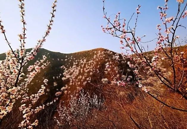 京郊四月美景,京郊四月