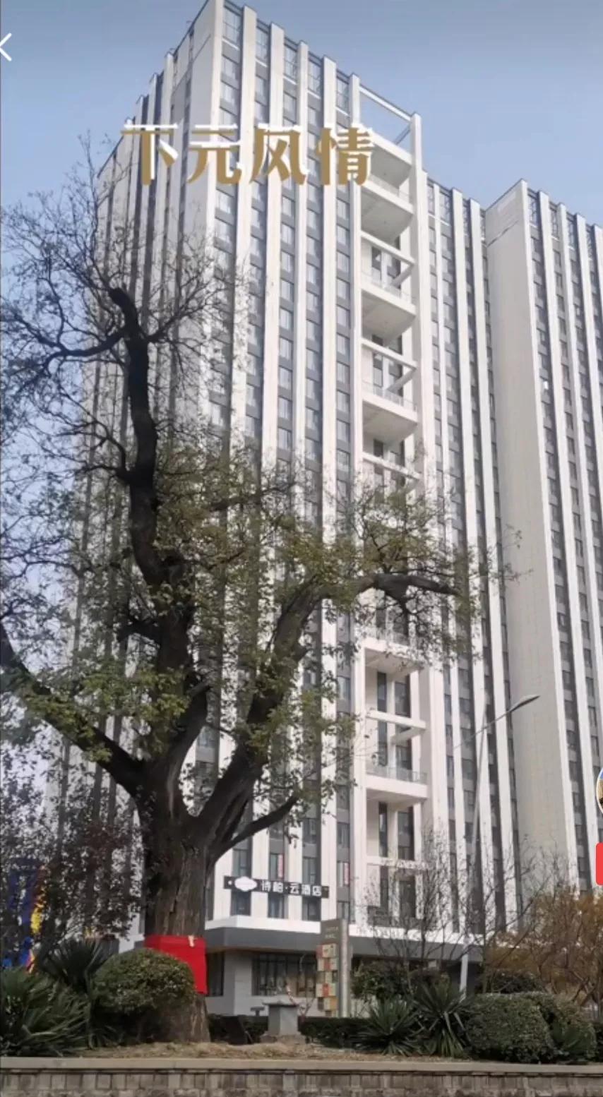 太原下元村姑姑寨村略记