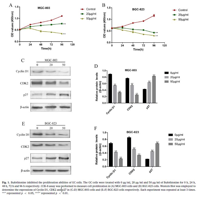 上调miR-133a-3p可调节信号通路介导的内质网应激