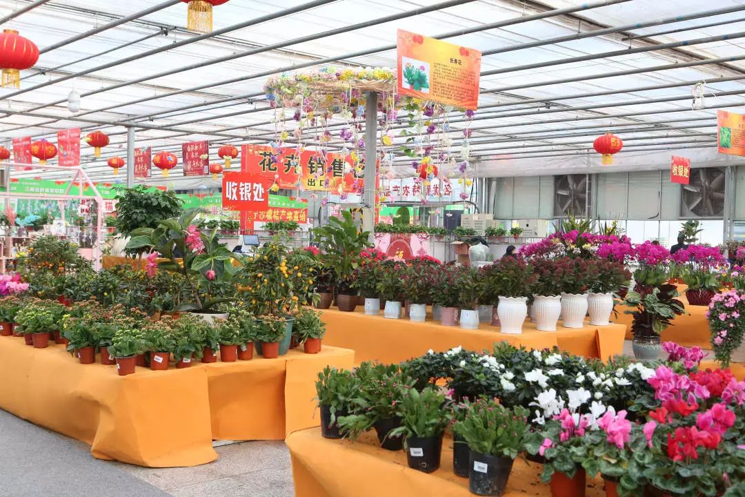 玩转第十八届长春农博会,2019长春冬季农博会票价