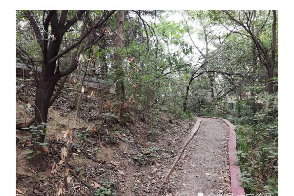 东汉南阳郡宛城,南阳汉代宛城遗址在哪