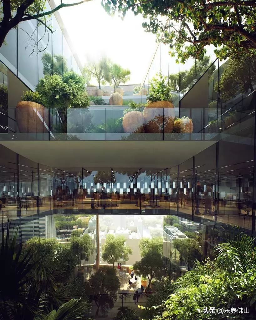 简易园艺疗法,园艺治愈心灵