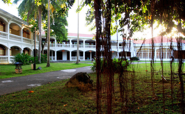 我的海南之旅作文,从海口到三亚感受海南的无限魅力