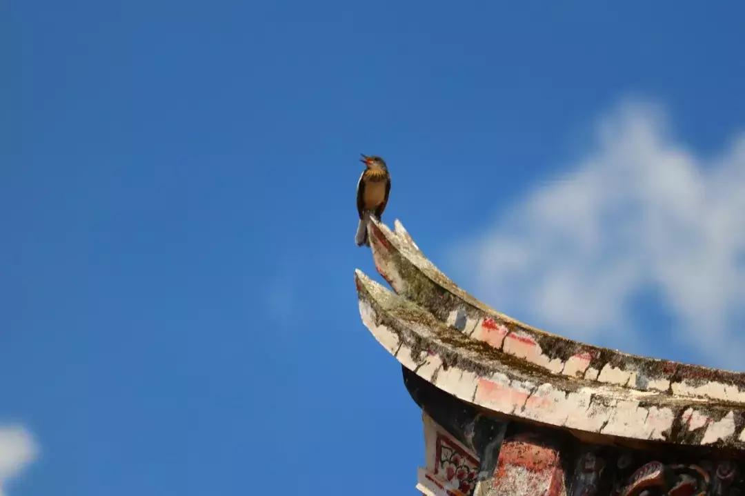 厦门精绝古城,离厦门1.8公里的地方