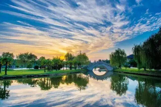 江西铜鼓康养胜地,江西红豆杉景区