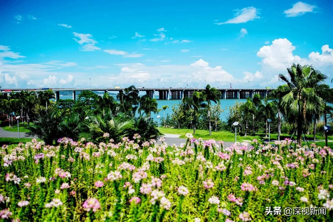 幸福南山,这就是幸福日本歌曲