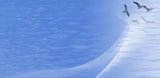 假国际大牌,那些被盗版的国际大牌