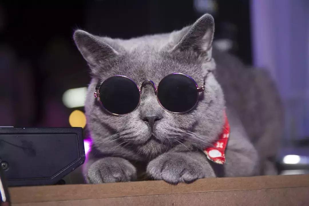 一直都真实存在的流言,一直有人在造谣我自己怎么办