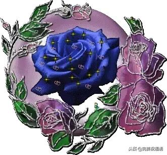 元旦祝福我的亲人和朋友,元旦祝福家人的话2020