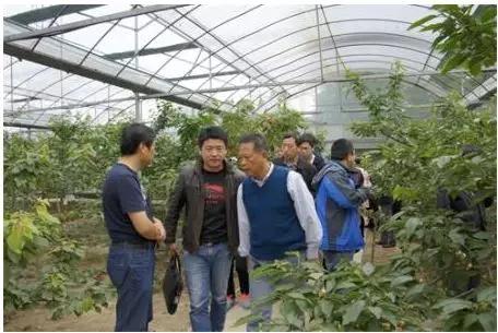 战疫助农滞销品突然销售火爆,战疫助农数据