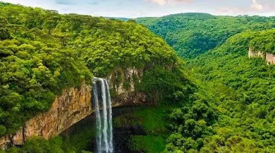 亚马逊雨林到底有多恐怖科普,人类活动对亚马逊雨林的影响
