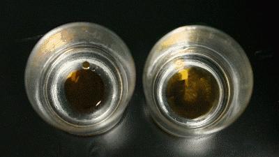 这条打*裤底**堪称裤子界小米,燃脂提臀还滋润身体,重点是自带磁疗