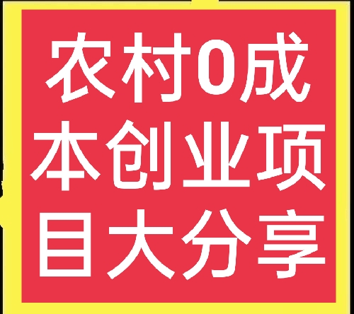 100个小成本创业项目,农村创业零投资致富项目