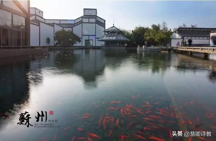 六上学霸笔记摘抄语文,三年级语文的知识点学霸笔记