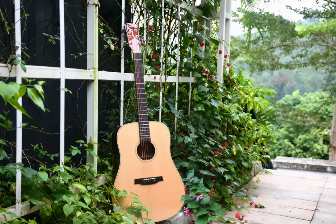 什么乐器简单易学易上手又不扰民,什么乐器比较容易上手又可以演奏