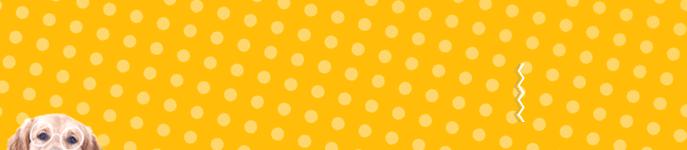 猫咪腿断了自愈后怎么做康复锻炼,猫咪生病不严重可以自愈吗