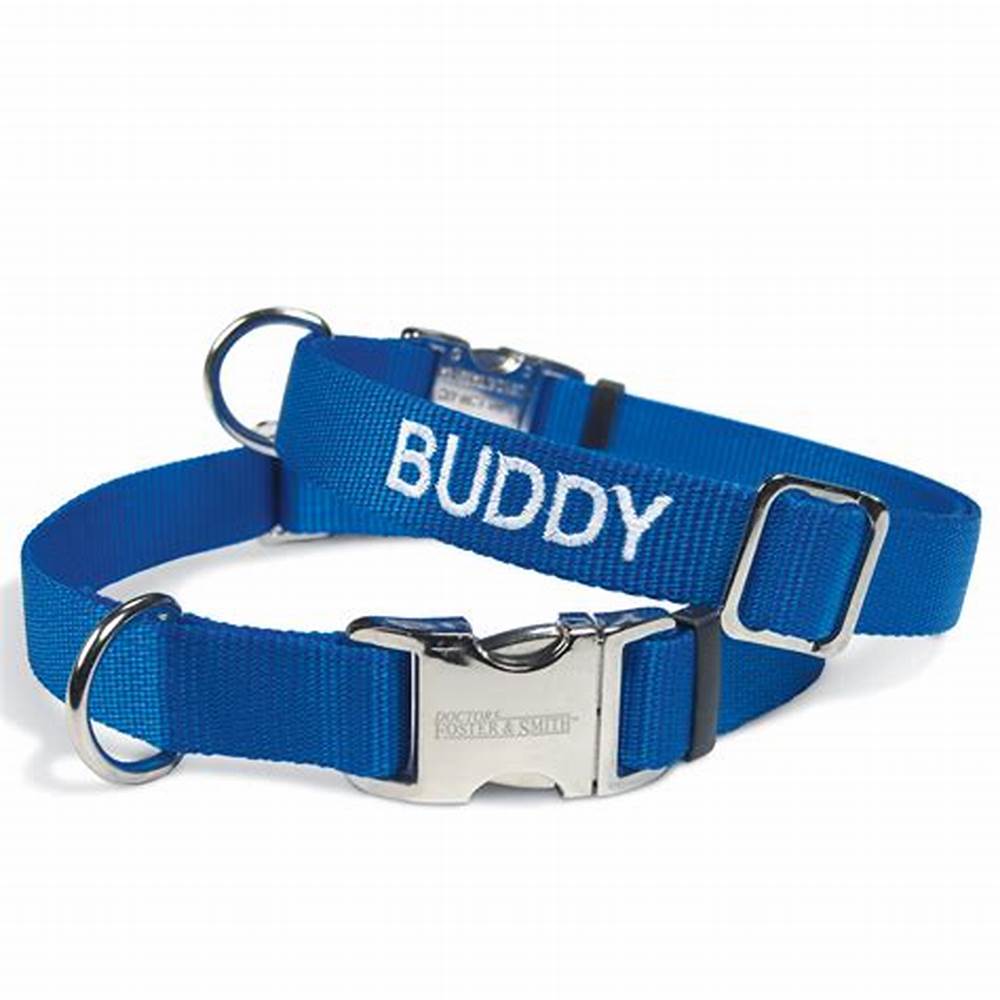 狗狗项圈选牛皮的好吗,狗狗项圈和背带哪个好