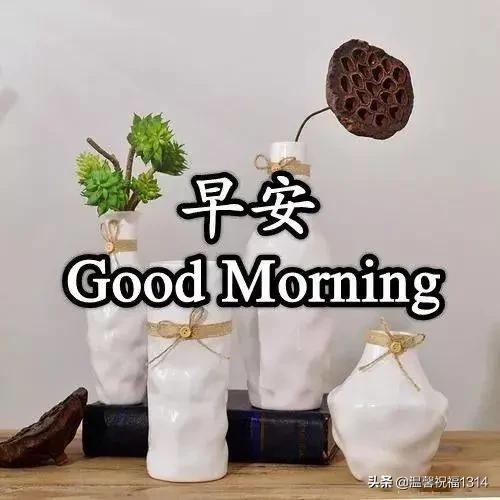 周一最新最接地气的早晨祝福语,周一清晨问候祝福语大全