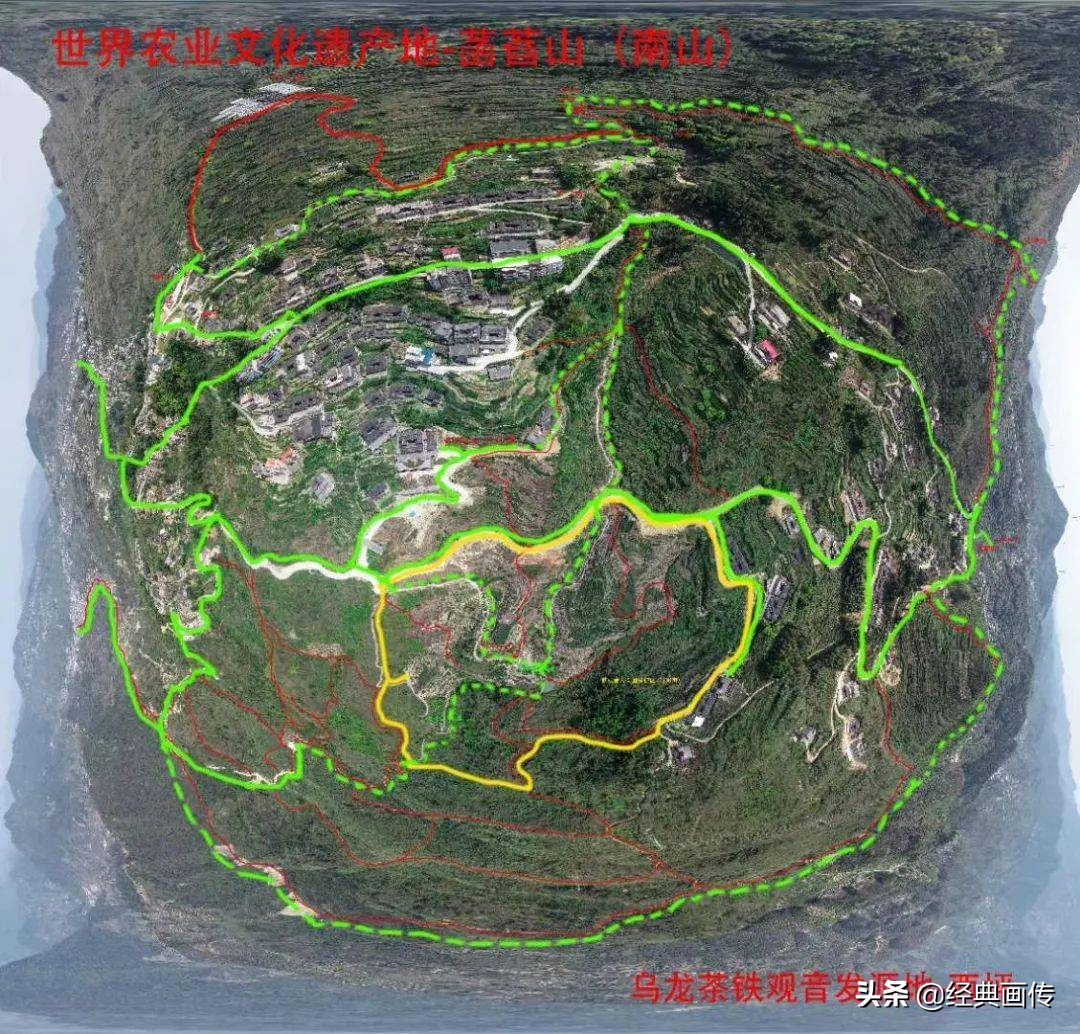 安溪高山铁观音独特之处,正宗安溪高山铁观音